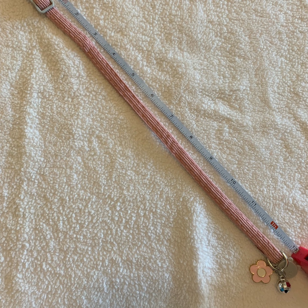 Cat Collars Bundle - Picture 10 of 11